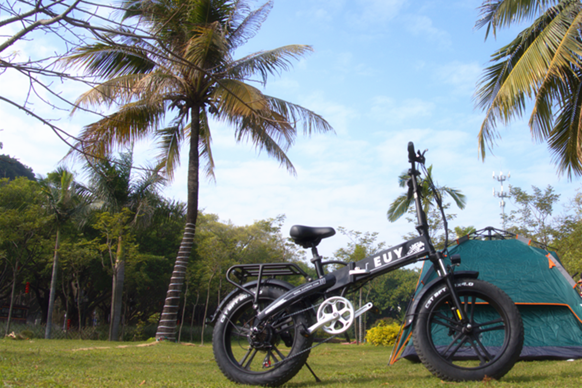 E Bike Shopping Online vs. In Store What s the Better euybike