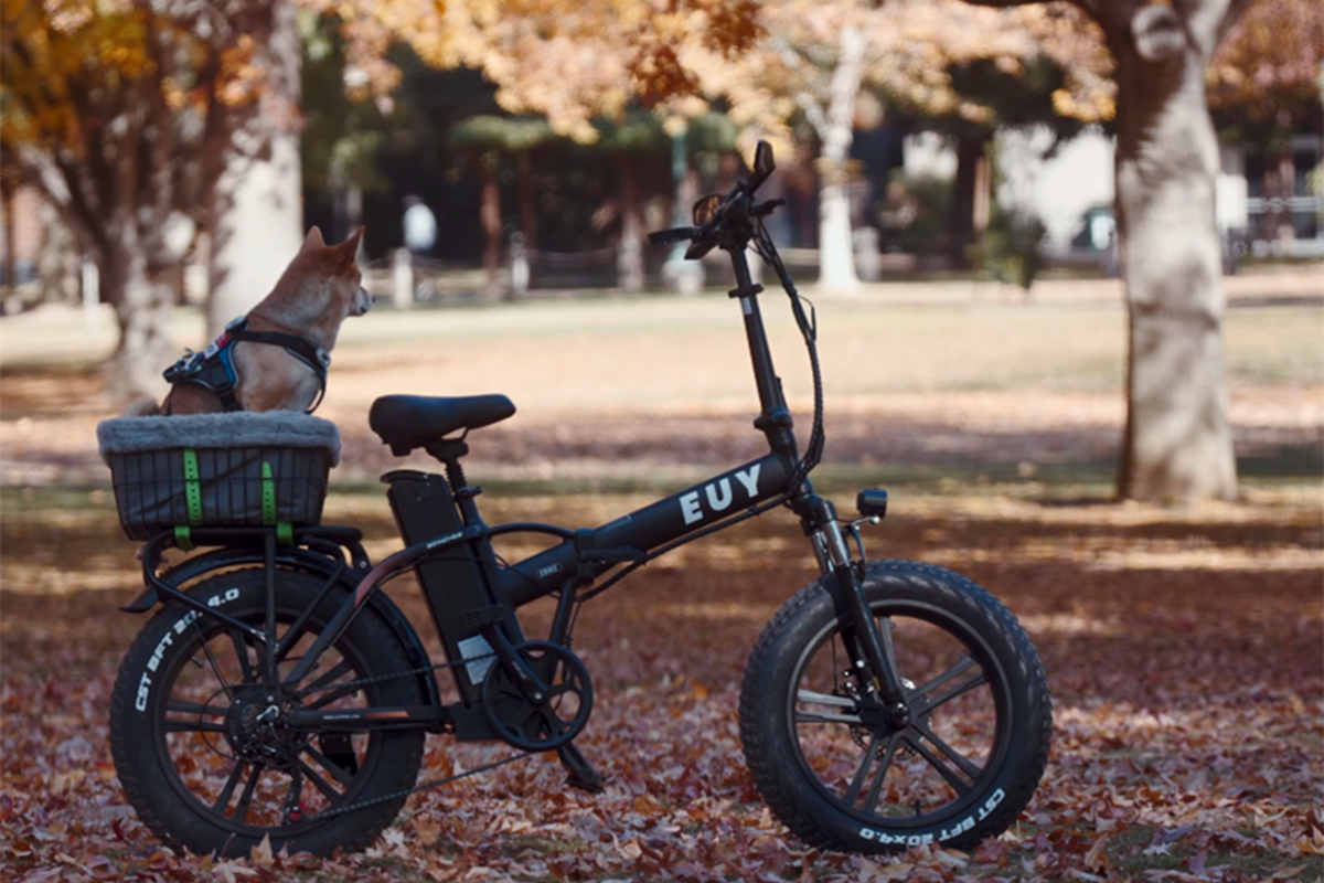 Texas Electric Bike Laws 2023 – euybike