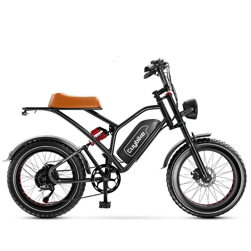 Moped Style Electric Bike, Electric Moped with Pedals