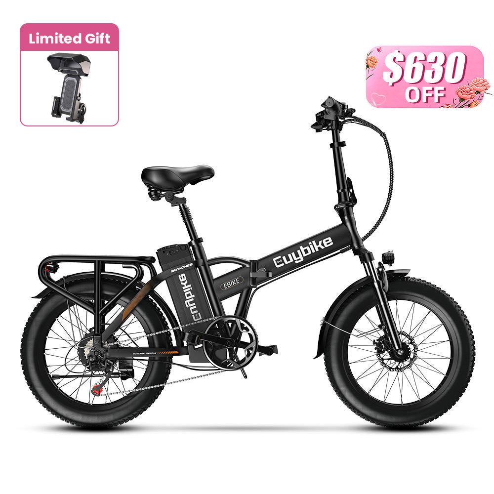 Euy F6 Long Range Fat Tire Electric Bike