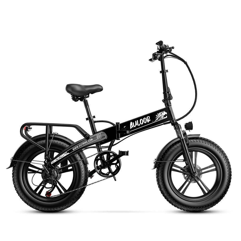 Auloor NXB Fat Tire Electric Bike – euybike1