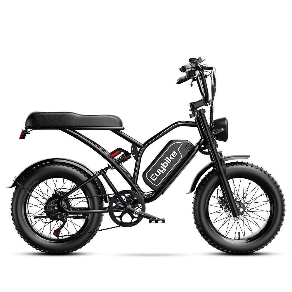S4 Long Range Moped-Style Electric Bike