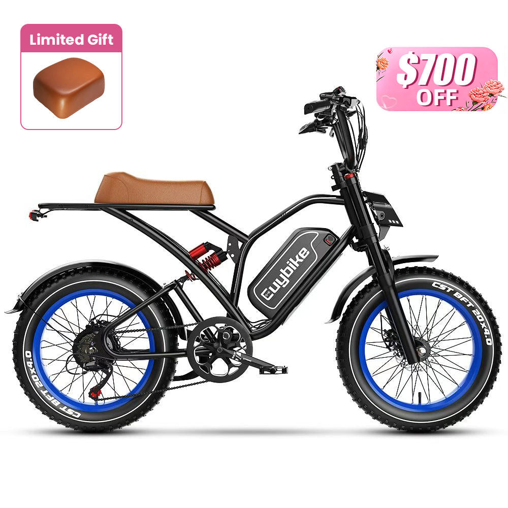S4 Long Range Moped-Style Electric Bike