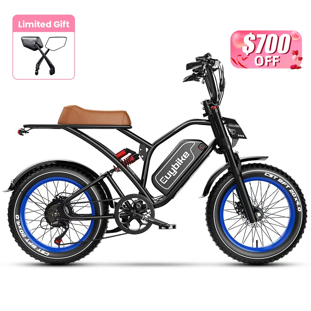 S4 Long Range Moped-Style Electric Bike