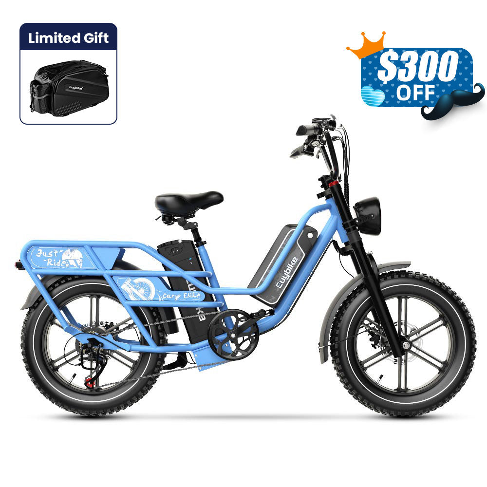 Euybike W1 Dual-Battery Long Range Utility EBike