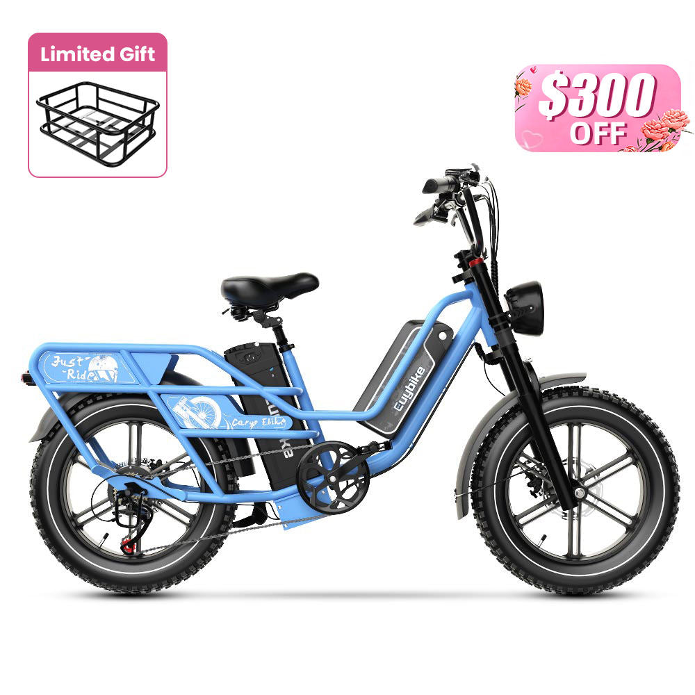 Euybike W1 Dual-Battery Long Range Utility EBike