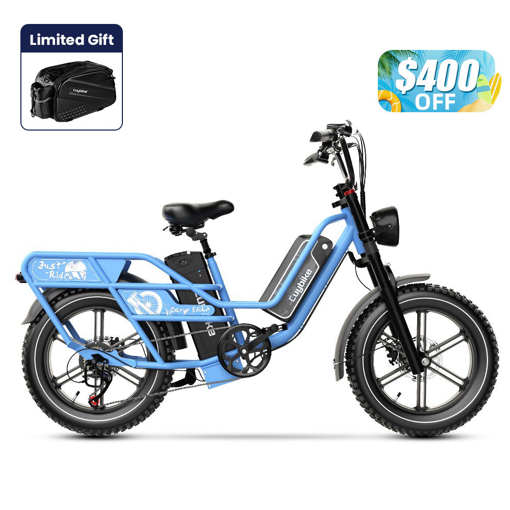 Euybike W1 Dual-Battery Long Range Utility EBike – euybike
