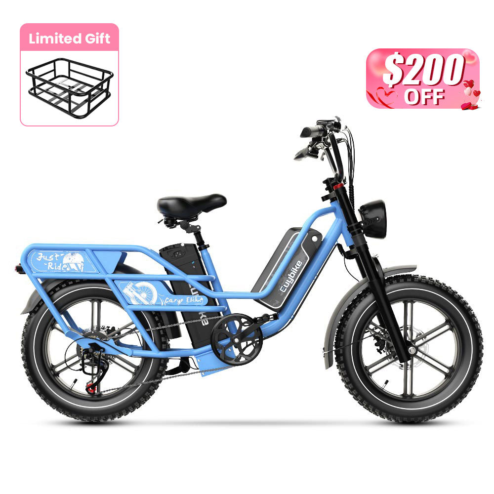 Euybike W1 Dual-Battery Long Range Utility EBike