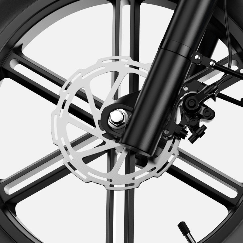 Euybike W1 Dual Battery Cargo Ebike Hydraulic Brakes