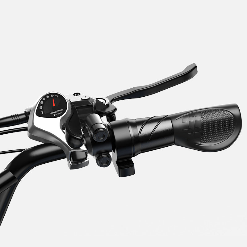 Euybike W1 Dual Battery Cargo Ebike Throttle