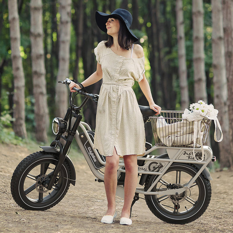 Euybike W1 Dual Battery Long Range Cargo Ebike Riding