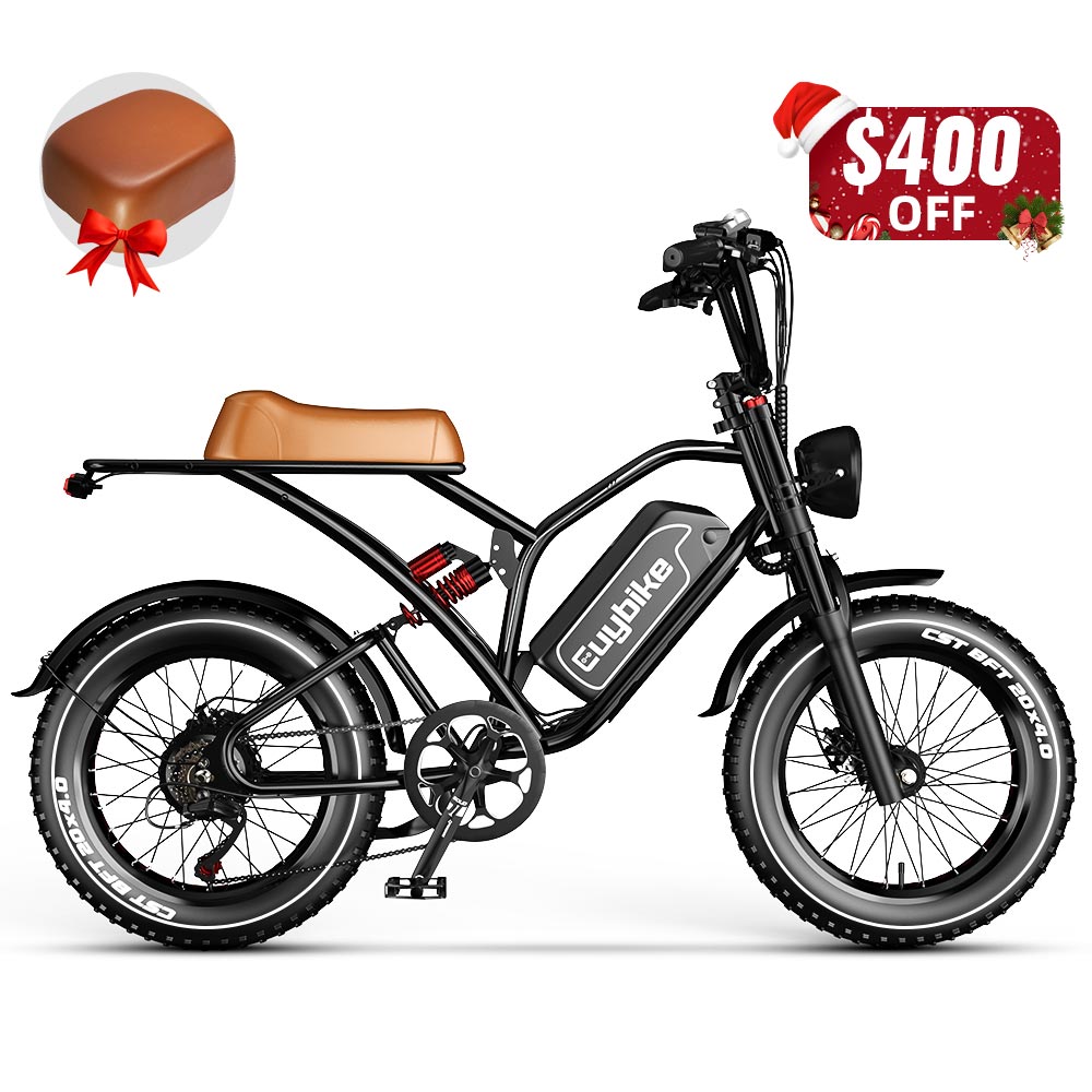 S4 Long Range Moped-Style Electric Bike