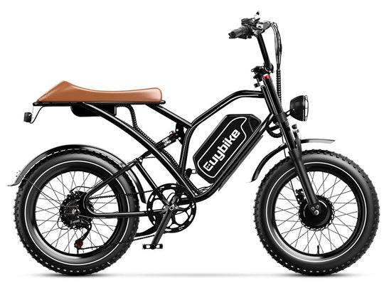 S4 Pro Max Dual Motor Ebike