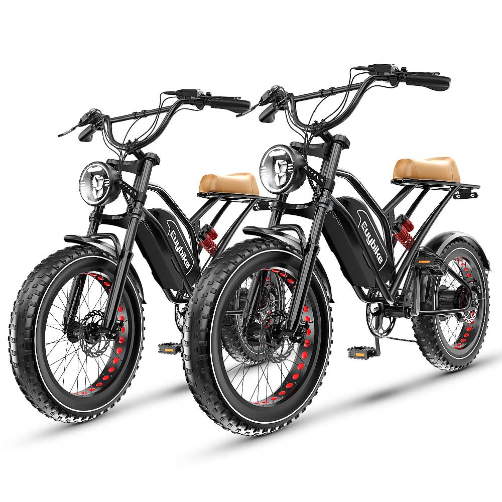 Euybike Bundle Sale, E-bike for Sale – euybike