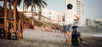 Euybike Electric Bike