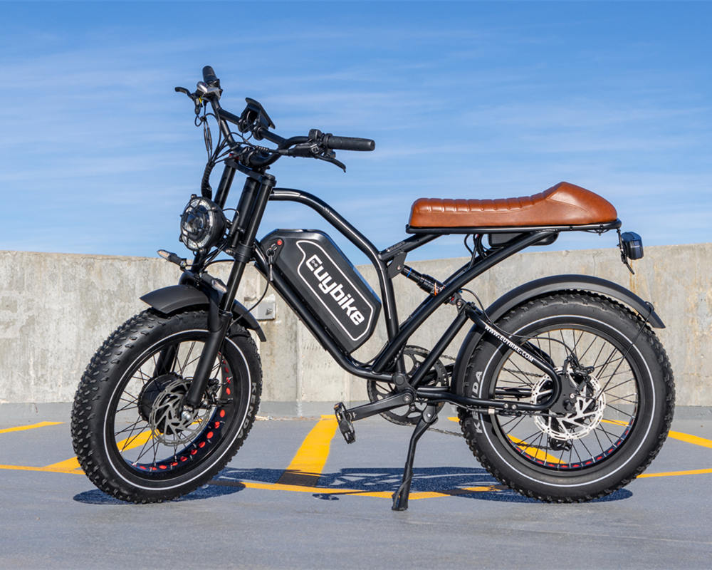 Euybike S4 Pro Max Dual Motor Ebike – euybike