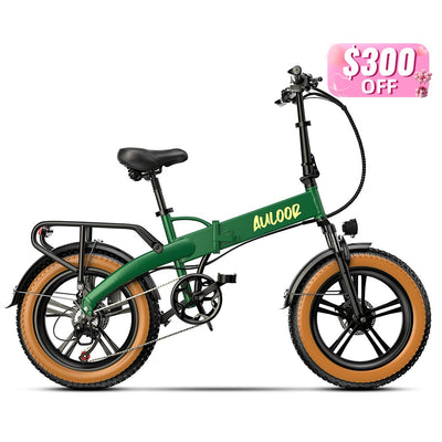 Auloor NXB Green Electric Bike Valentine’s Day Sale