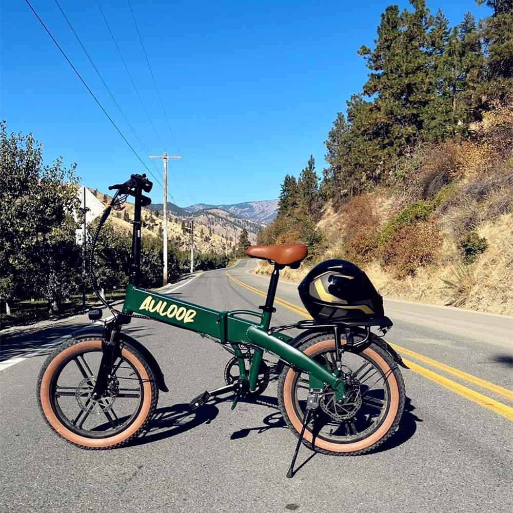 Auloor NXB eBike Green