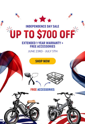 E Bike Independence Day for Sale