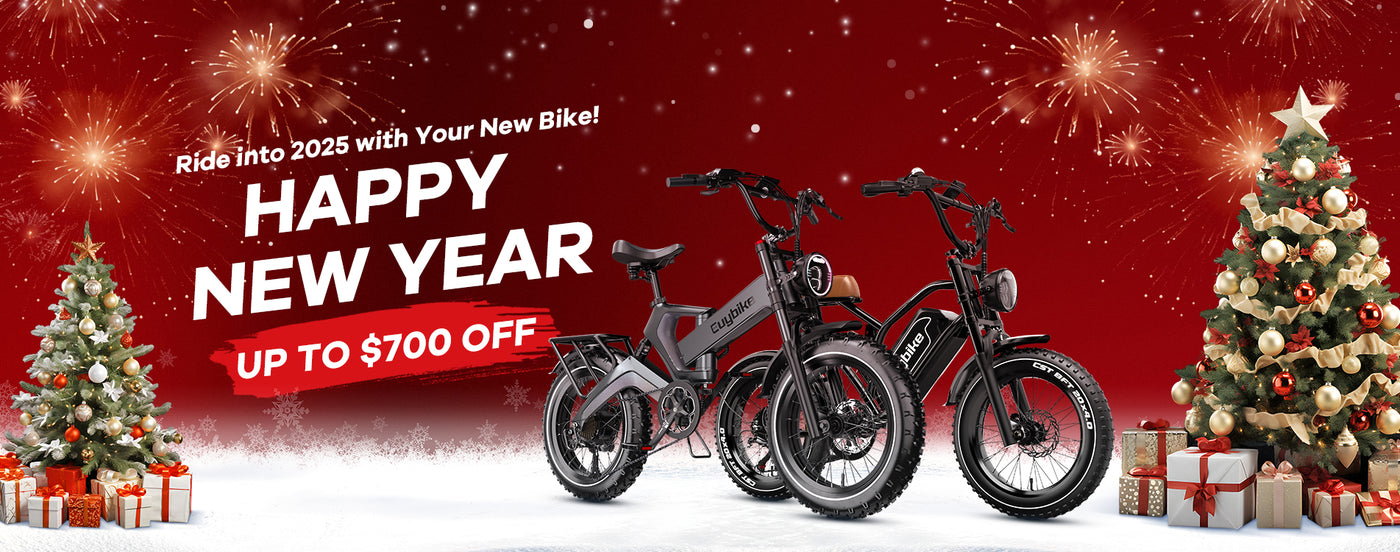 Electric Bike New Year Sale