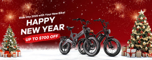 Electric Bike New Year Sale