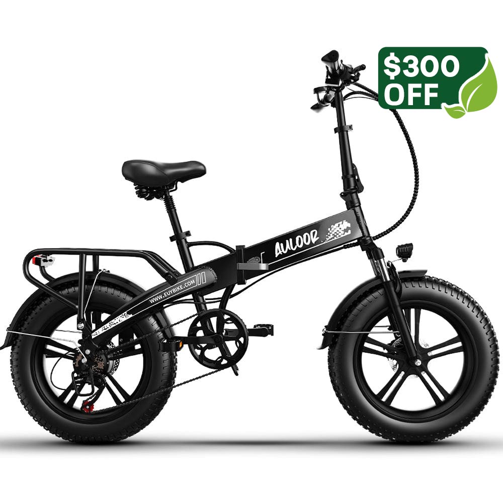 Euybike Auloor Black Electirc Bike Spring Sale