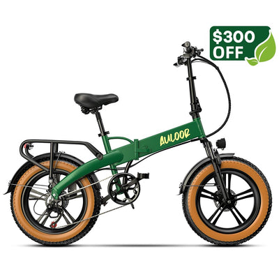 Euybike Auloor Green Electirc Bike Spring Sale