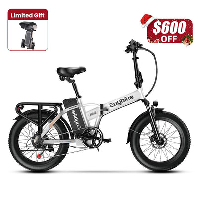 Euy F6 Long Range Fat Tire Electric Bike