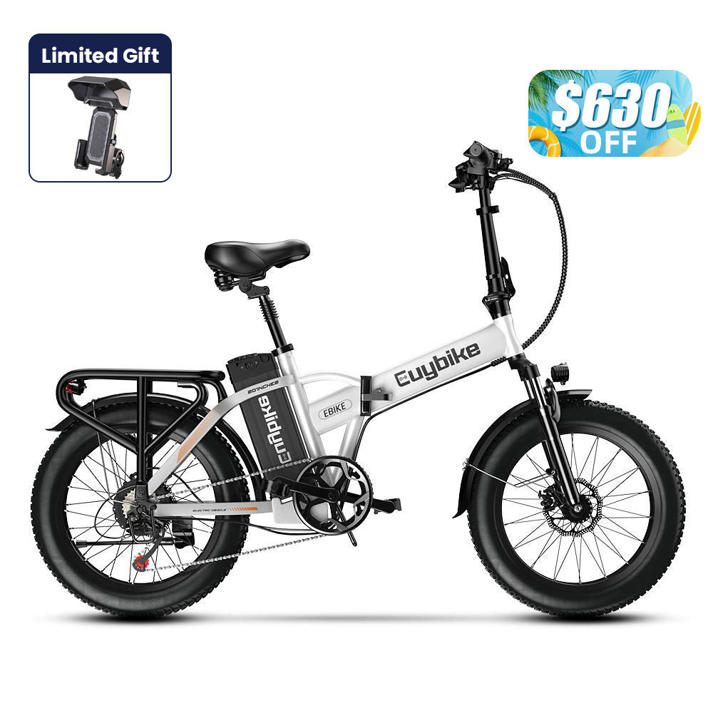 Euy F6 Long Range Fat Tire Electric Bike