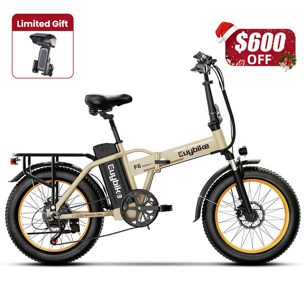 Euy F6 Long Range Fat Tire Electric Bike