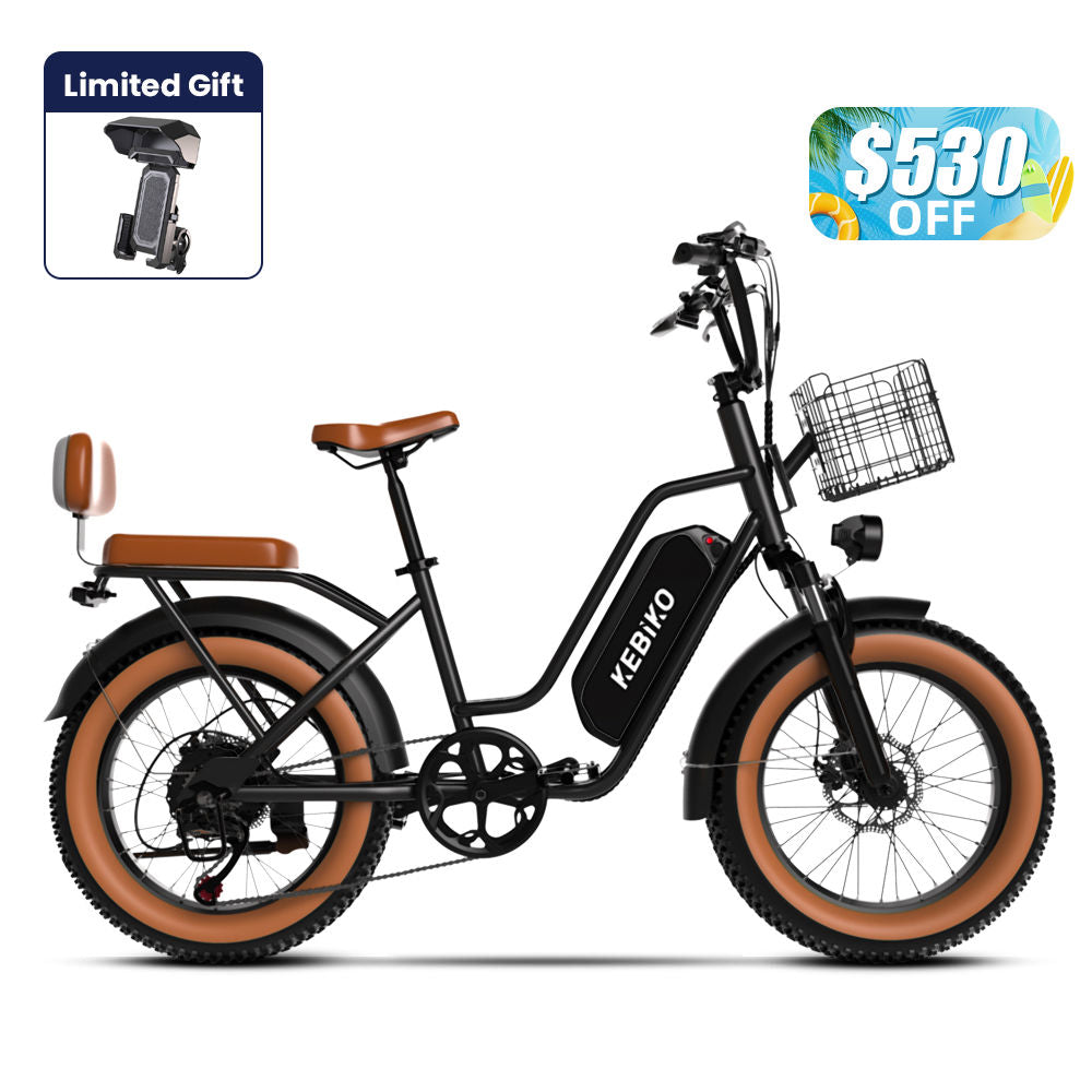 Euybike F8 Step Thru Electric Bike