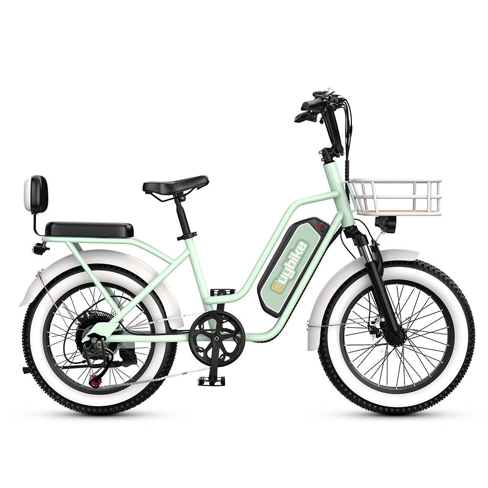 Ebike Front Basket – euybike