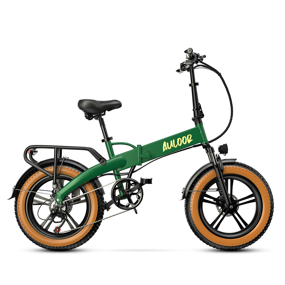 Auloor NXB Fat Tire Electric Bike euybike