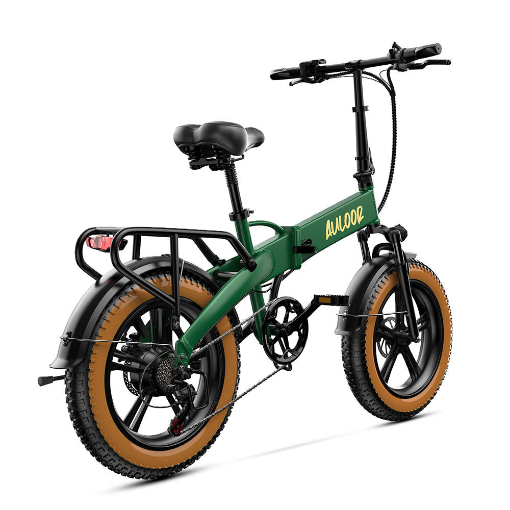 Euybike Green NXB Fat Tire Electric Bike