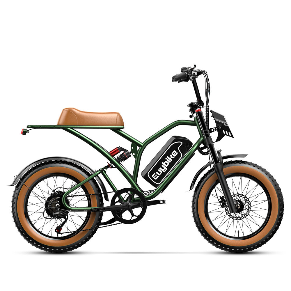 S4 Long Range Moped-Style Electric Bike