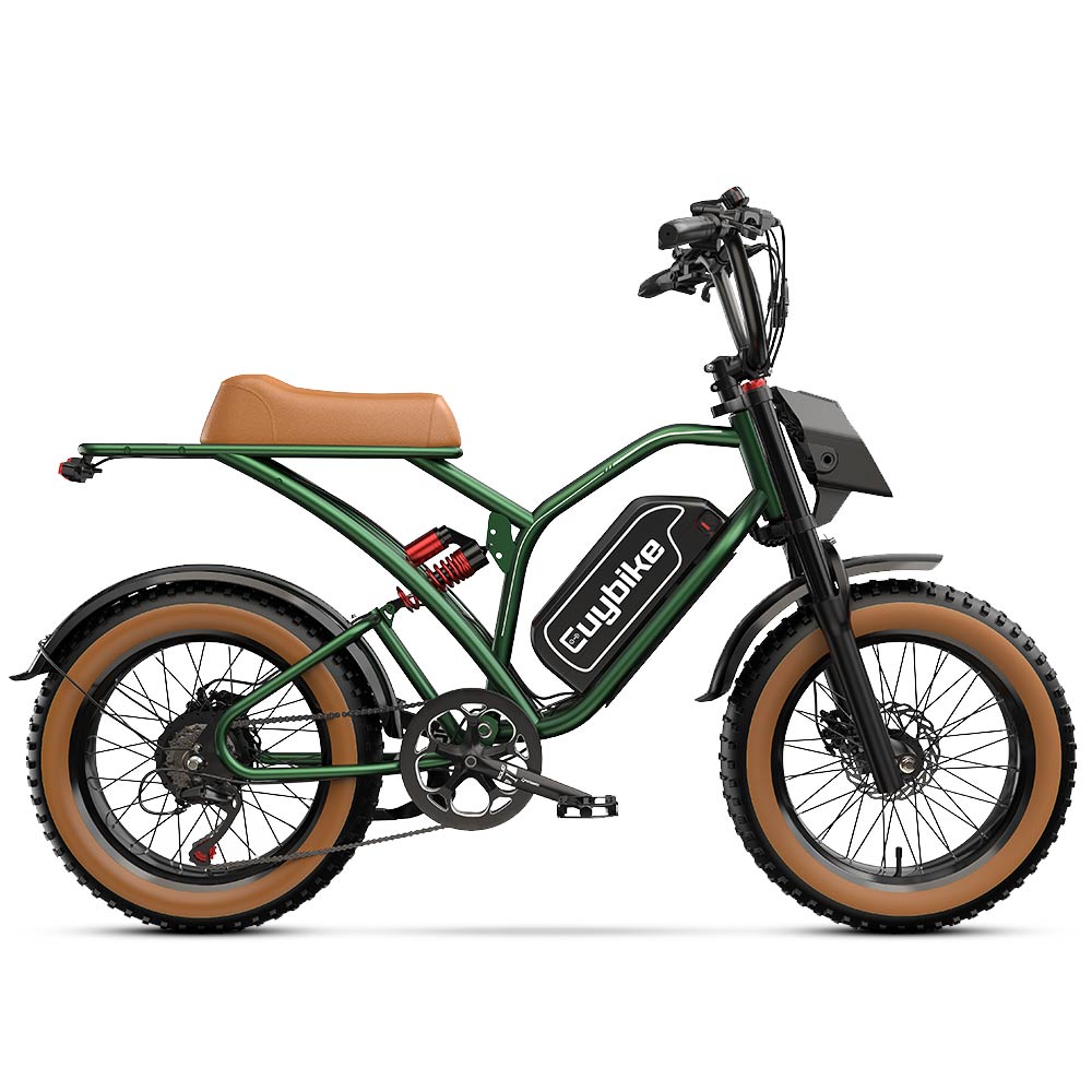 Moped Style Electric Bike Electric Moped with Pedals Euy S4