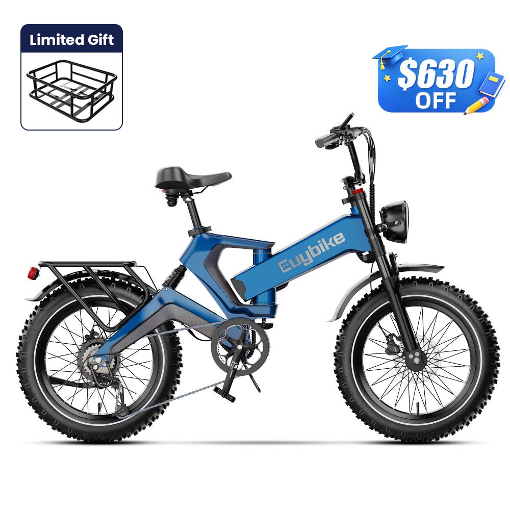 Fat Tire Electric Bike