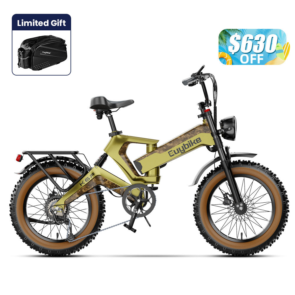 Fat Tire Electric Bike