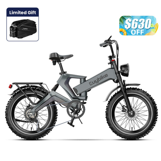 Fat Tire Electric Bike