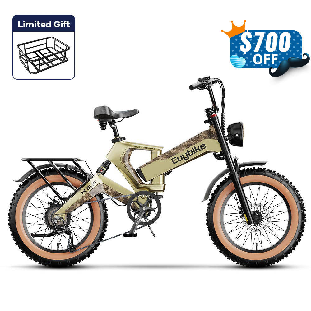 K6 Pro (K6F) Long Range Fat Tire Electric Bike