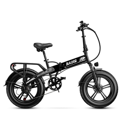 Euybike NXB Fat Ebike