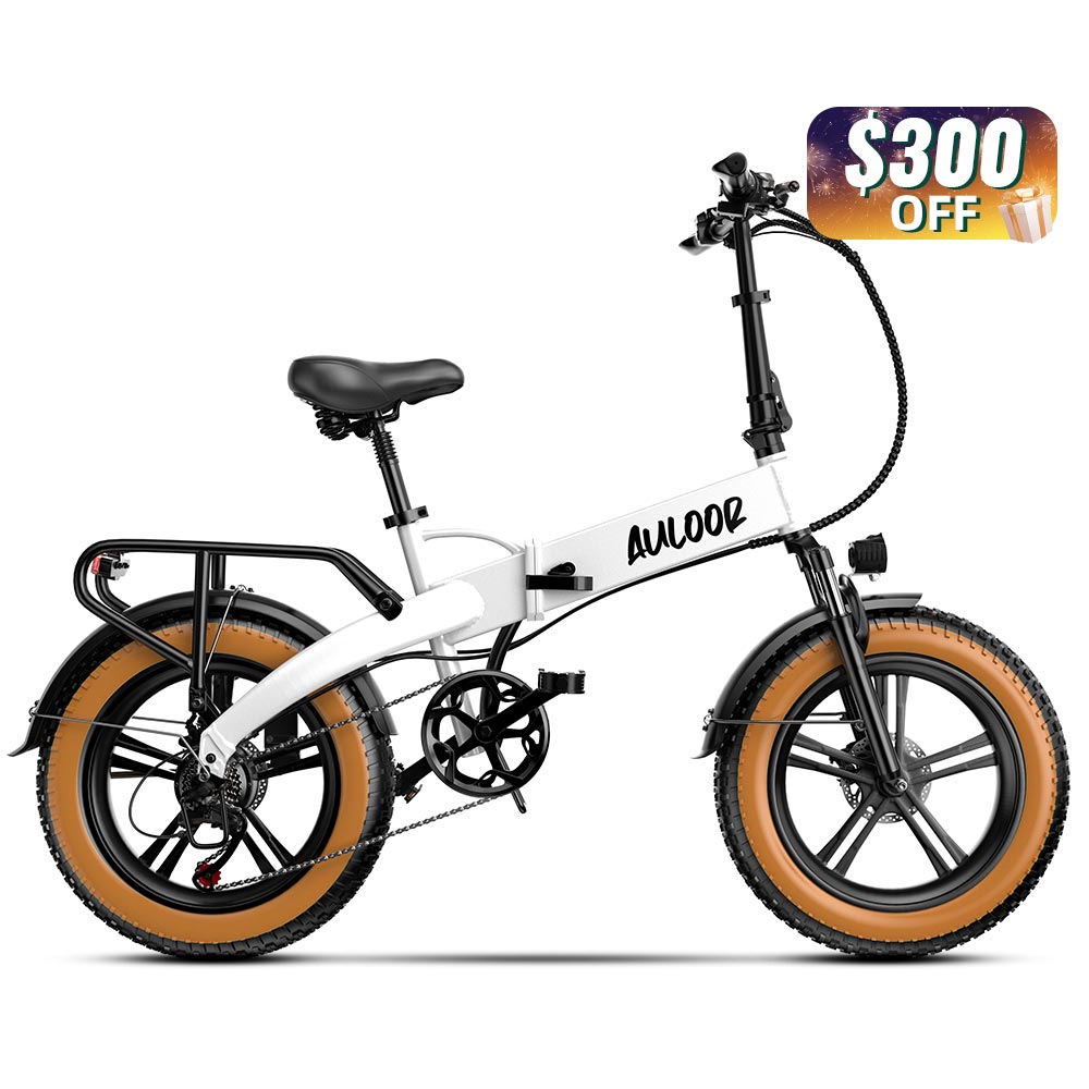 Euybike NXB Folding Electric Bike for Sale