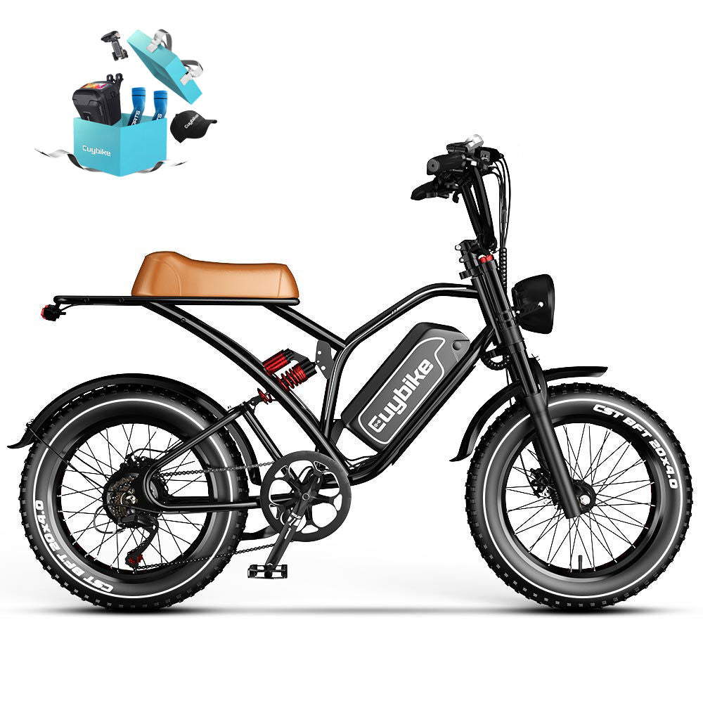 S4 Long Range Moped-Style Electric Bike