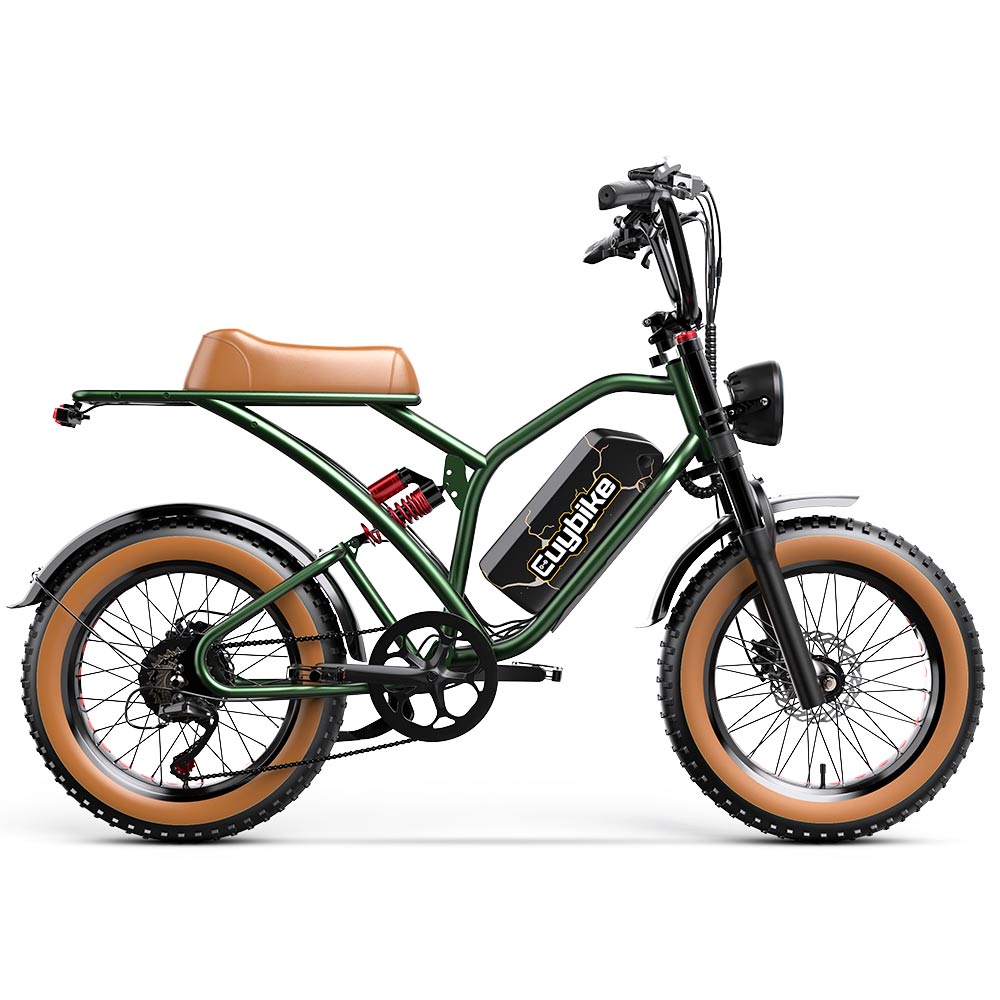 Moped Style Electric Bike Electric Moped with Pedals Euy S4