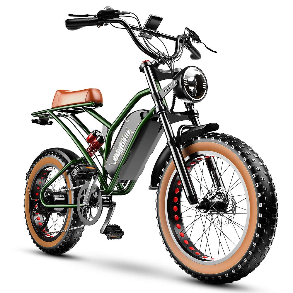 S4 Long Range Moped-Style Electric Bike