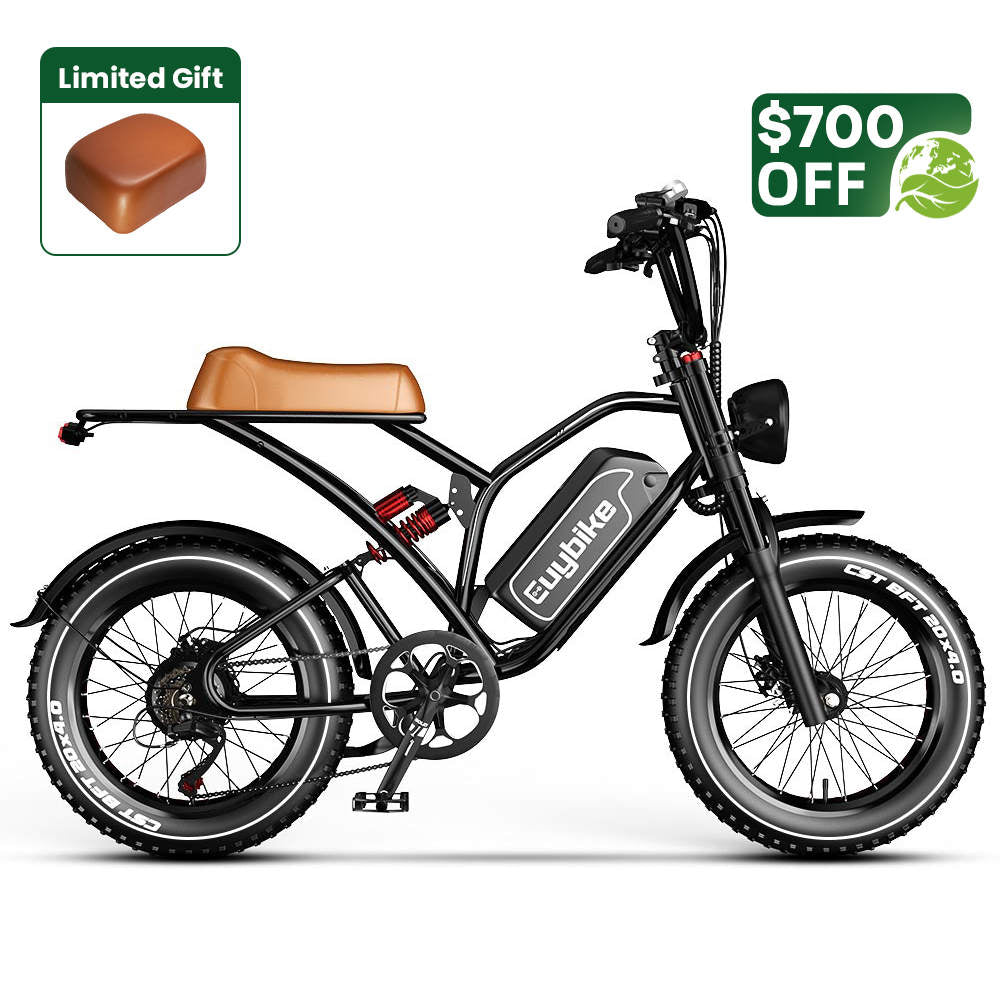 S4 Long Range Moped-Style Electric Bike