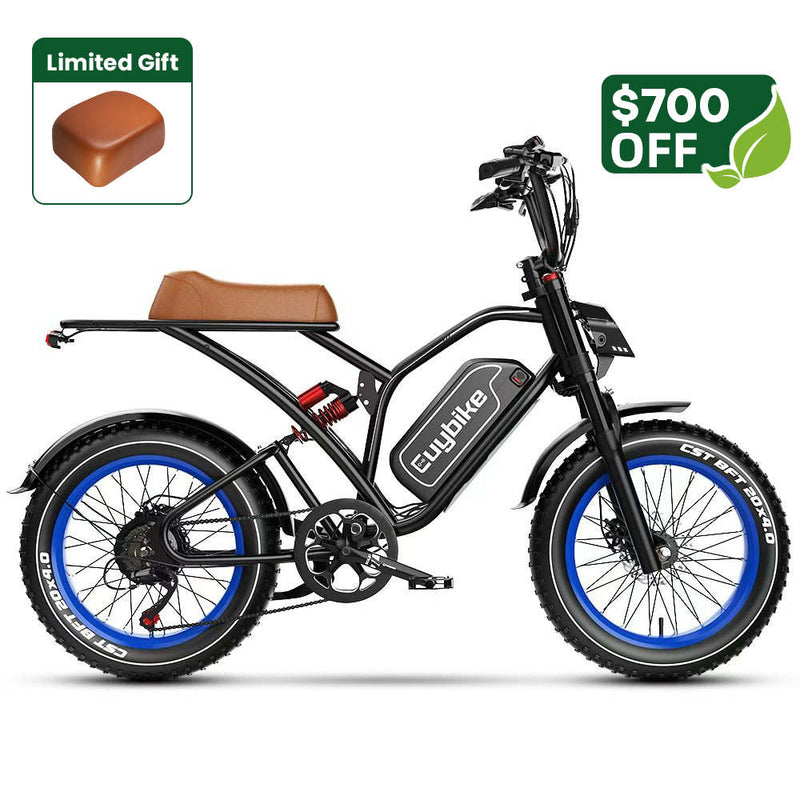 S4 Long Range Moped-Style Electric Bike