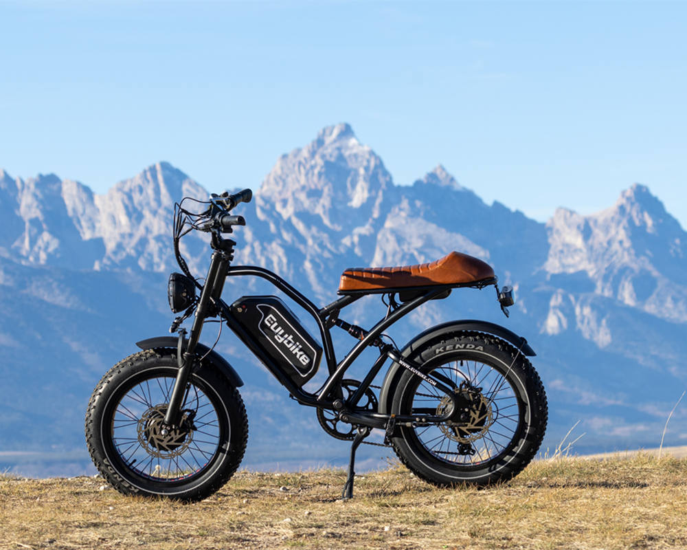 Euybike S4 Pro Dual Motor Electric Bike In the Hills