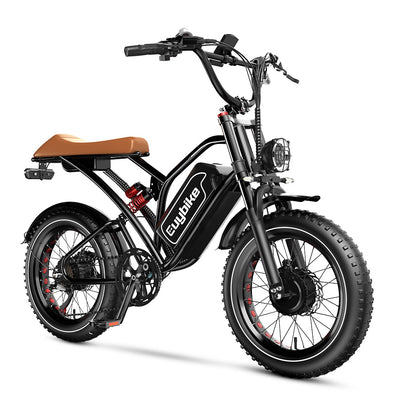 Euybike S4 Pro Dual Motor Electric Bike