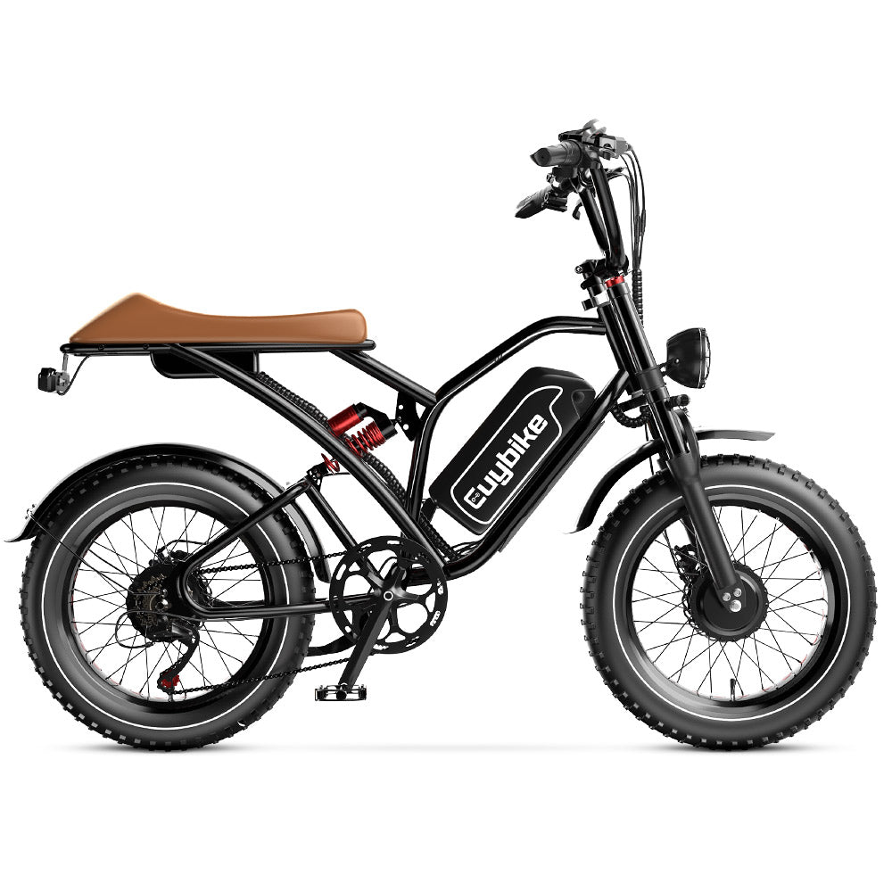 Euybike S4 Pro Dual Motor eBike